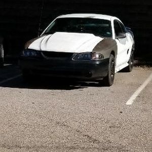 Meet your Posher, Robert